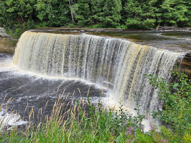 istock Tahquamenon Falls In Michigan Upper Peninsula 1621187446