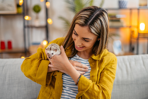 Young smiling woman and her cute hedgehog playing in the living room.