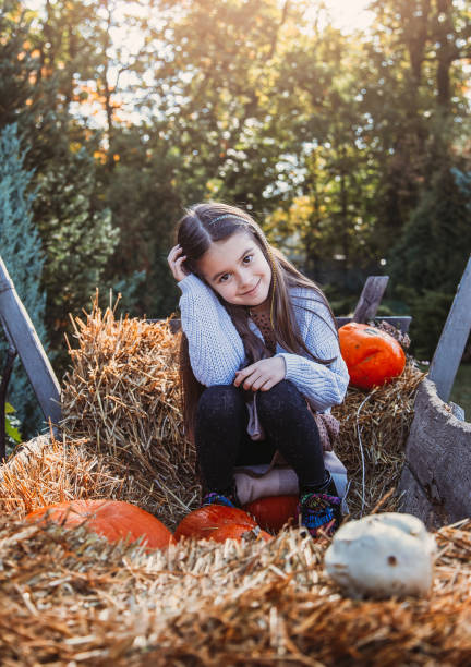 カボチャの秋の収穫。農場市場や季節のお祭りでの子供とオレンジのカボチャ。カボチャの間で遊ぶかわいい女の子。感謝祭のホリデーシーズンとハロウィーン。 - pumpkin child little girls pumpkin patch ストックフォトと画像