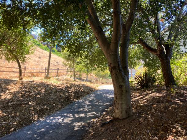 istock Golden Hill with trees and shadow walkway 1621236050