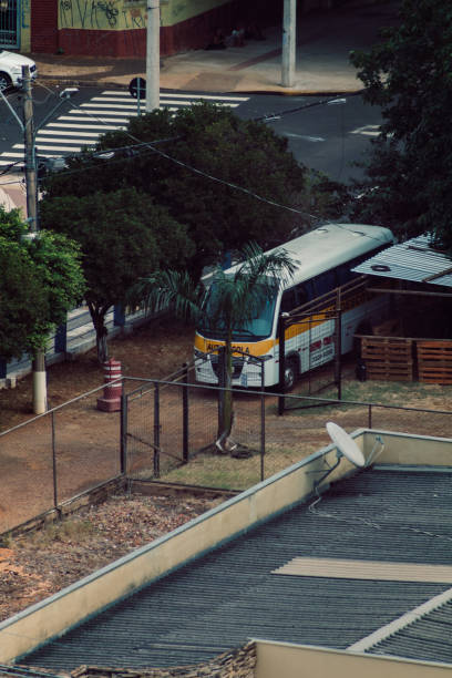 istock driving school bus parked in a greenway under trees 1621237170