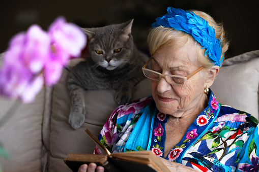 Old and well-groomed woman sitting on the sofa with her cat's. She's cat standing near. Feeling good, feeling young.75 is the new 25 - Staging the 100-year life
