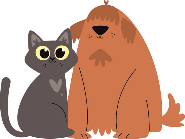 illustrations, cliparts, dessins animés et icônes de 478_elements_cartoon_dog_cat_together_friendship - purebred cat illustrations