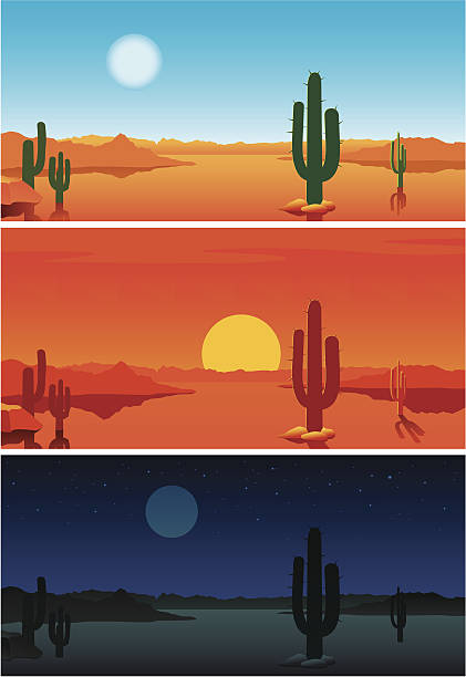 砂漠ます。3 つのバナーの日の周期を示します。 ベクターアートイラスト