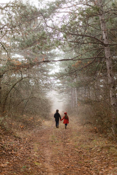 istock Two children holding hands and walking in to the woods 1621355859