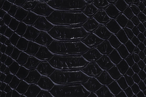 istock texture of a snakeskin 162138369