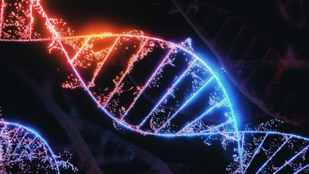 istock DNA strand on a dark background 1621400824