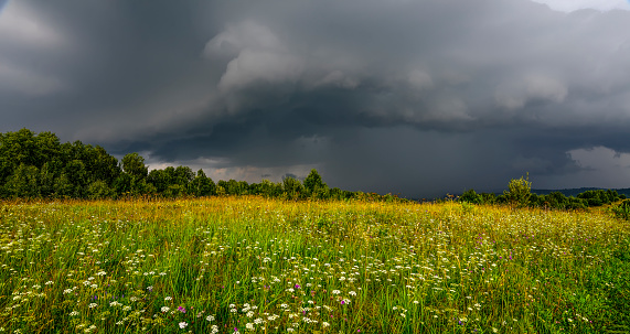 Dramatic sky with gray rainy clouds over flowering summer meadow before storm. Summer rural landscape with blossoming wild colorful flowers in rainy weather. Weather forecast concept