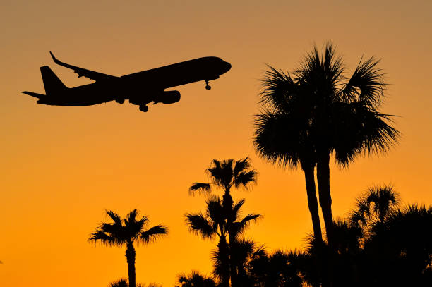 istock Holiday jet flying over palm trees at sunset 1621429776