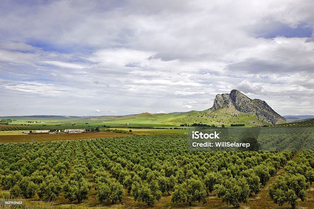 Antequera 、スペイン、アンダルシア - スペインのロイヤリティフリーストックフォト