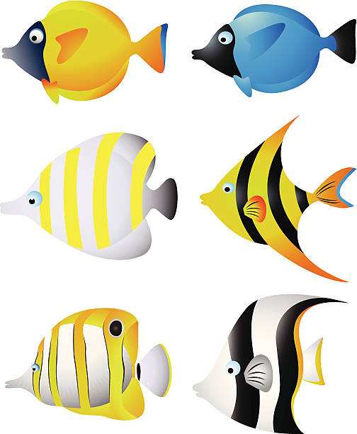 Tropical Fish Collection vector art illustration