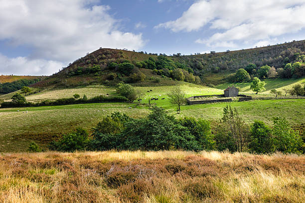 istock North York Moors near Levisham, Yorkshire, UK. 162144701