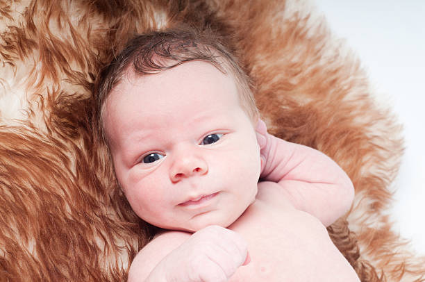 istock Newborn baby on fur 162146989