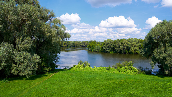 Summer scene with green grass and trees on the river bank