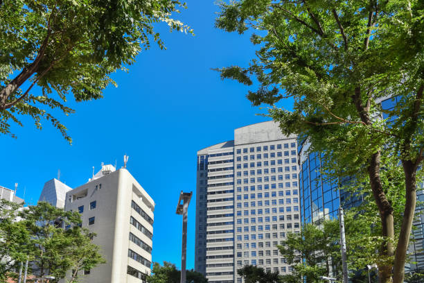 istock Blue sky and trees, buildings and office districts. 1621514127