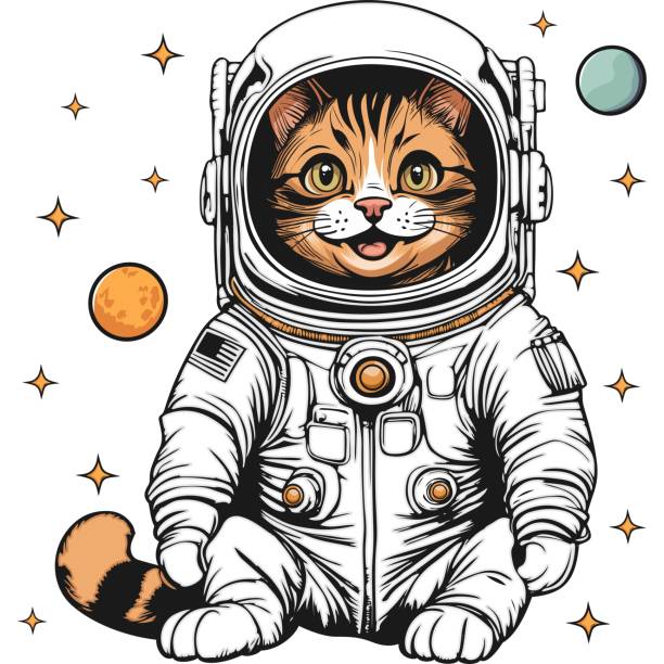 Astronaut Cat Typography Quote Design. Astronaut Cat, Astronaut and Space Typography Quote Design. work motivational quotes stock illustrations