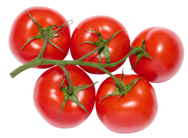 istock Red ripe tomatoes on a green branch on a white background, healthy vegetable 1621520025
