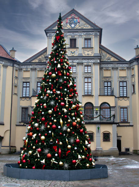 istock Christmas tree in the city square 1621522782