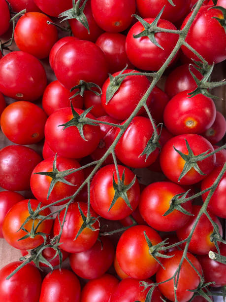 Full frame image of fresh produce supermarket shelving unit, cardboard box crate containing cherry tomatoes on the vine, elevated view