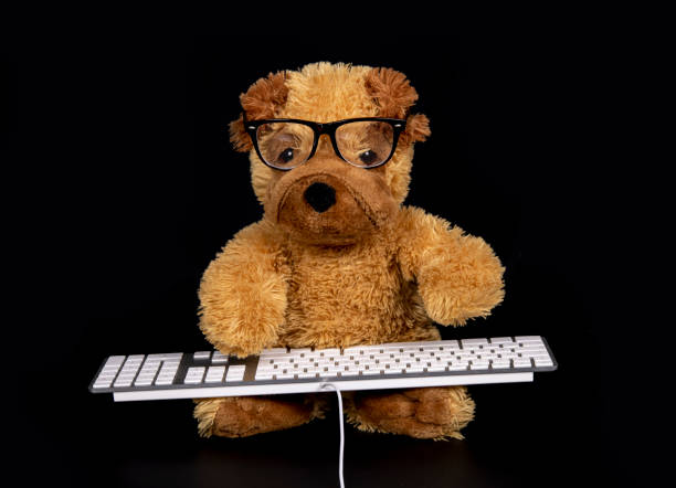 Computer Teddy 710+ Teddy Bear Camera Stock Photos, Pictures & Royalty-Free Images ...