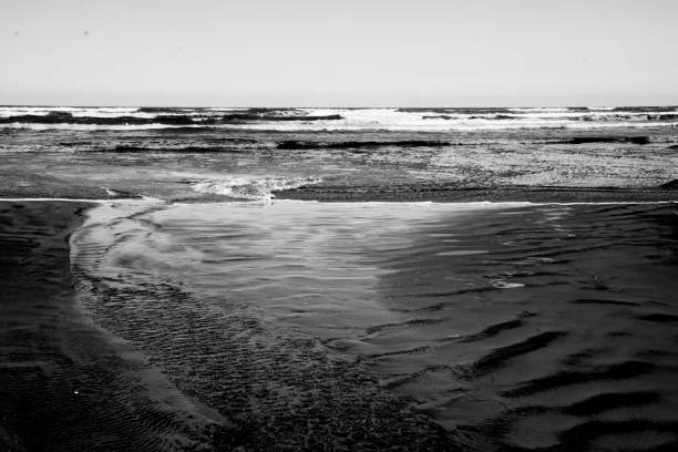 istock black and white beach photography 1621572153