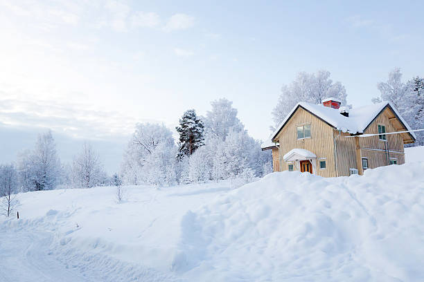 istock Winter landscape lapland Sweden 162162818
