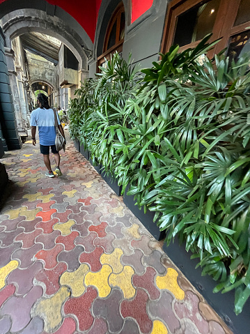 Stock photo showing close-up view of an ornamental jungle garden, with lush beds of potted broadleaf plants lining a garden path paved with red, yellow and brown tessellating, shaped pavers.
