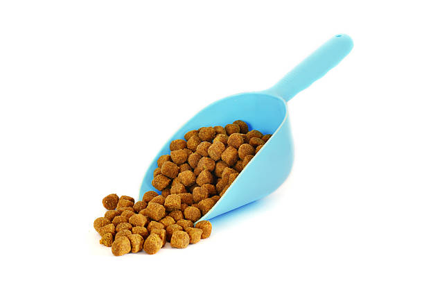 istock Pet food in the scoop 162163609