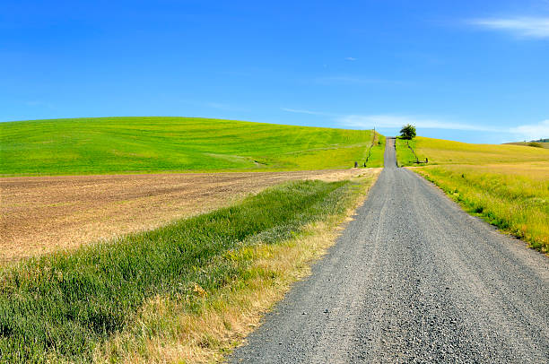 istock Farm Road and Rolling Hills 162165065