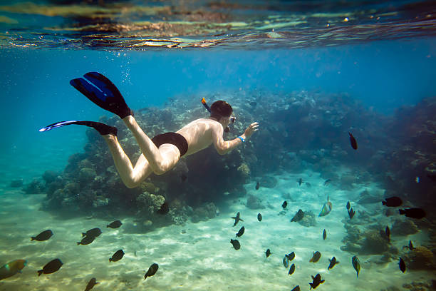 istock Snorkeler. Red sea 162165494