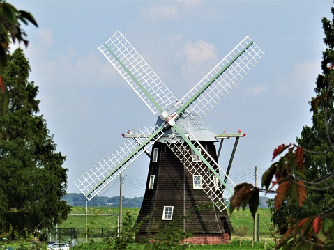 Windmill in the park.