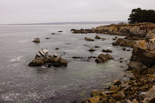 California coastline of the Pacific Ocean in Pacific Grove, California near Monterey.