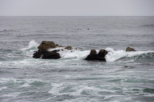 Waves crashing on the rock in Monterey Bay, California