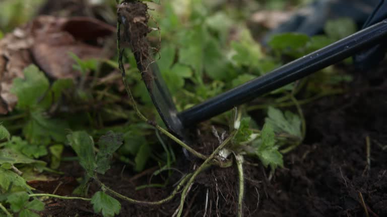 Tilling the Soil with a Tiny pickaxe, Extreme Close-Up, Farmer Concept