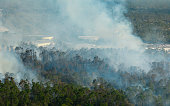 Aerial view of large wildfire burning severely in Florida jungle woods. Hot flames with dense smoke in tropical forest