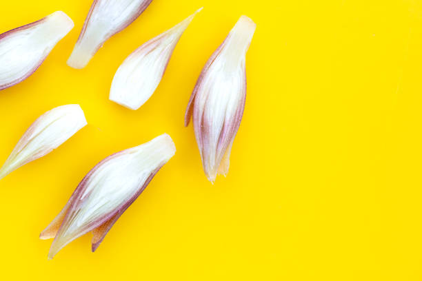 istock Fresh myoga on yellow background. 1622039366
