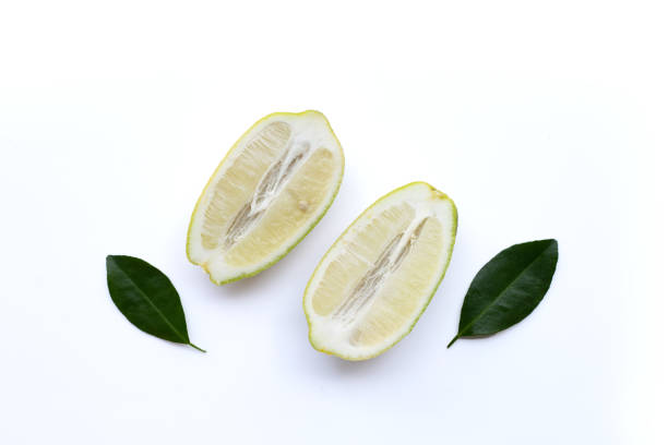 istock Ripe limes with green leaves on white. 1622039378