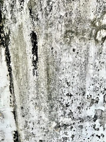 a photography of a wall with a fire hydrant and a fire hydrant, megalithic structure of a concrete wall with a cracky surface.