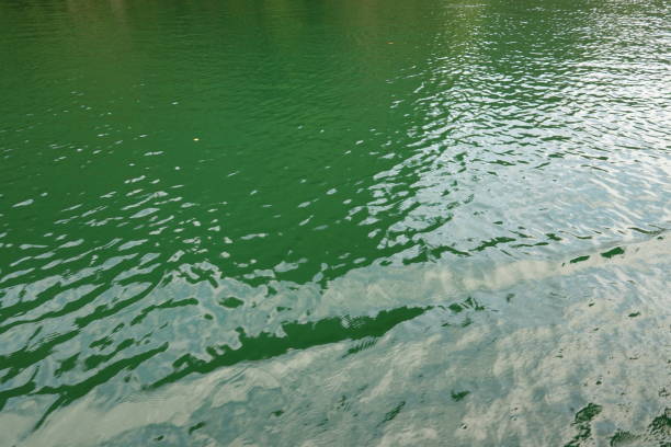green abstract background. Reflection of light on a smooth surface of water with small waves. Tidewater green background with copy space for design.