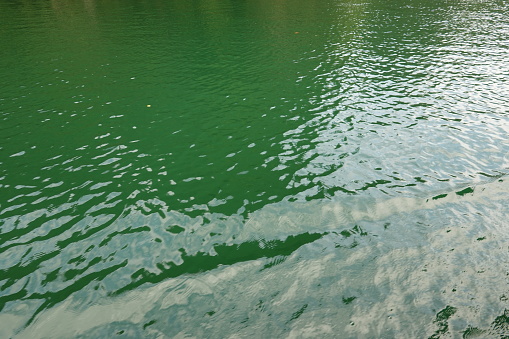Ripple on the lake, dark green lake water, wave