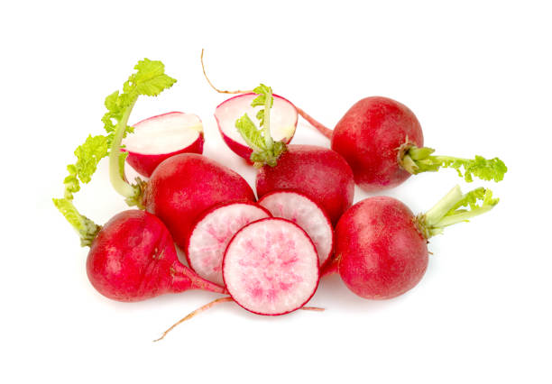 istock small red radish isolated on white background 1622112335