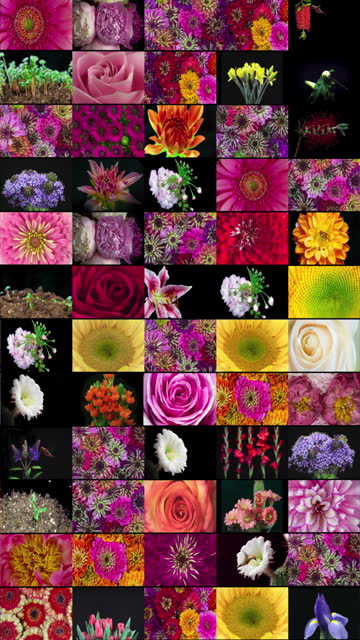 Blooming flowers grid background