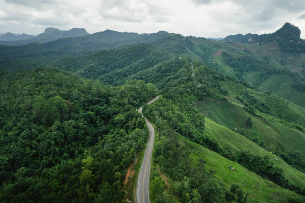 istock road in green forest after rain 1622151155