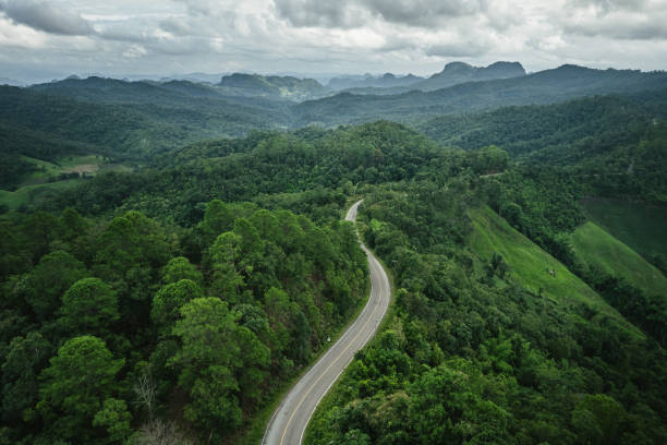 istock road in green forest after rain 1622151671