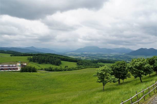 istock Landscape of 900 Meadow 1622179776