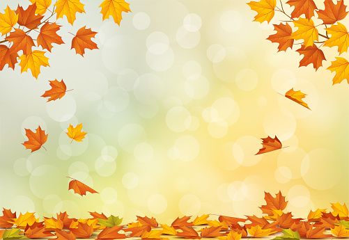 Autumn leaf background with falling leaves. Vector illustration.