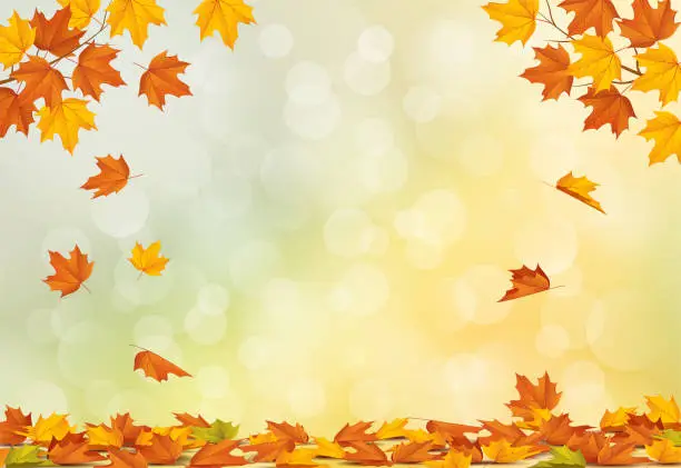 Vector illustration of Autumn background with falling leaves