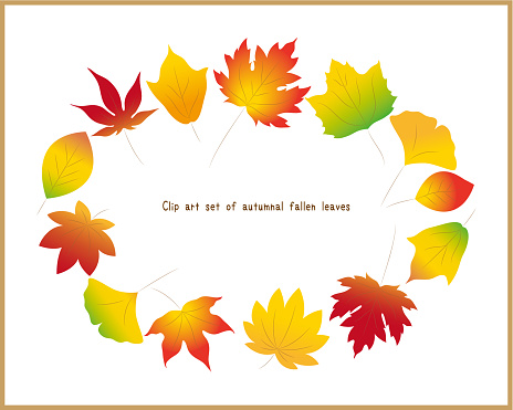 istock Set of colorful vector illustrations of autumnal fallen leaves. Ginkgo, maple, oak, maple leaf, plane tree, maple 1622243799
