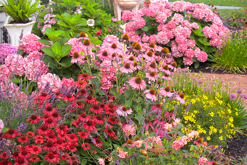 multiple flower blossoms in a pink pattern motif landscaping around a brick garden path