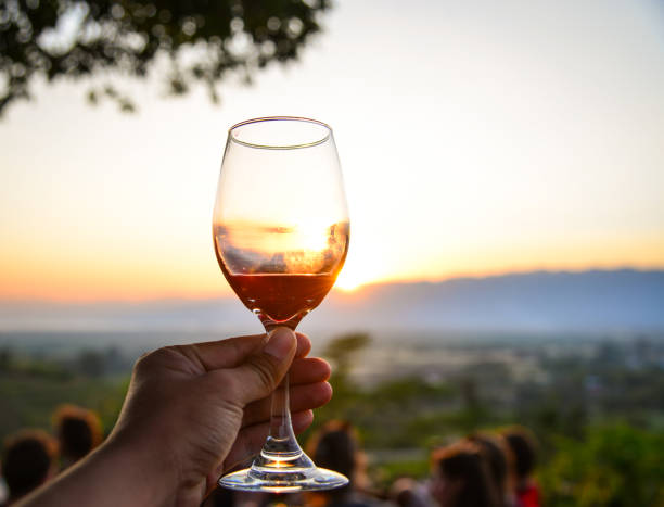 istock Glass of red wine 1622288770